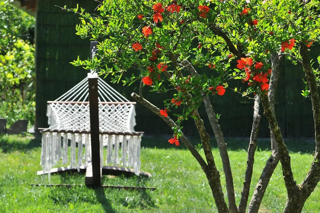 Grenadine Lodge Dalyan 0*,